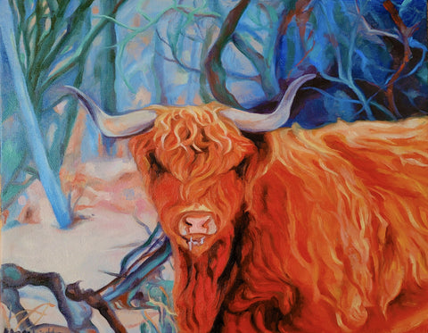 highland cow