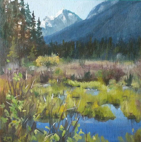 Vermilon Lakes Springtime
