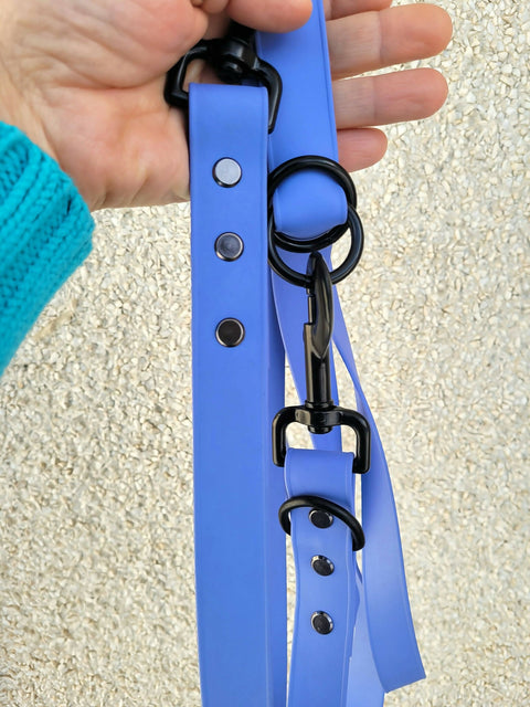 Hands-free dog leash