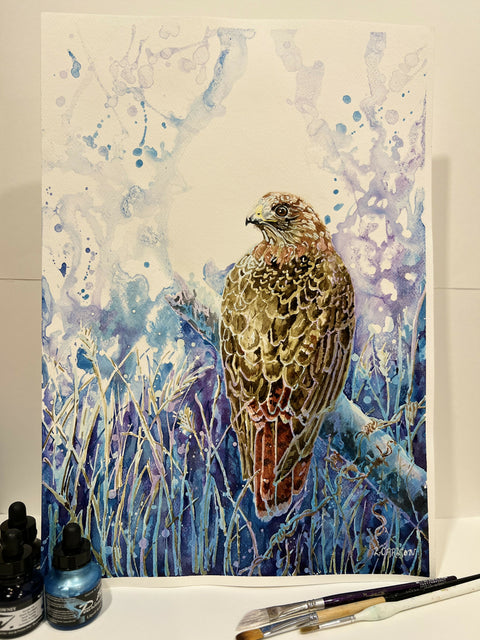 Red-Tail Hawk - original acrylic ink on watercolour paper