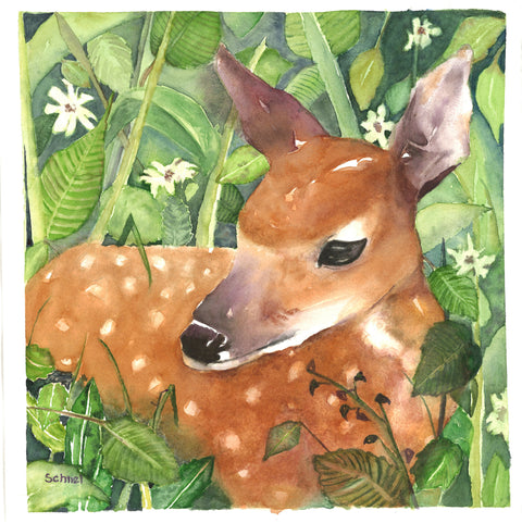 Deer_June24