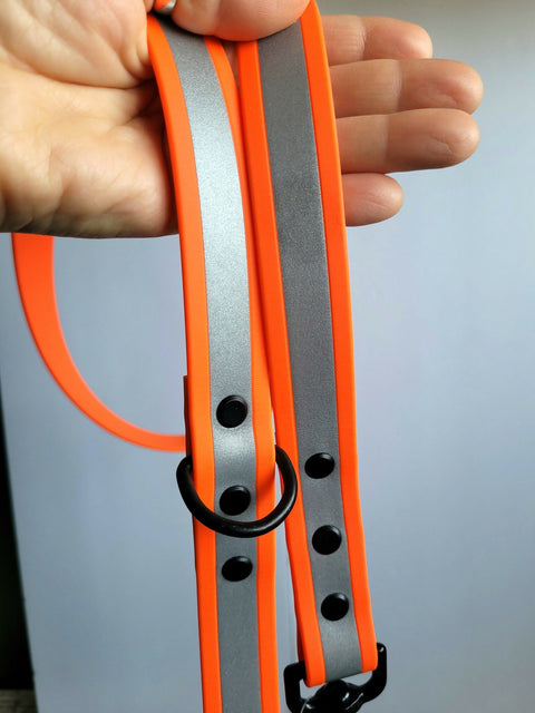 Standard BioThane dog leash