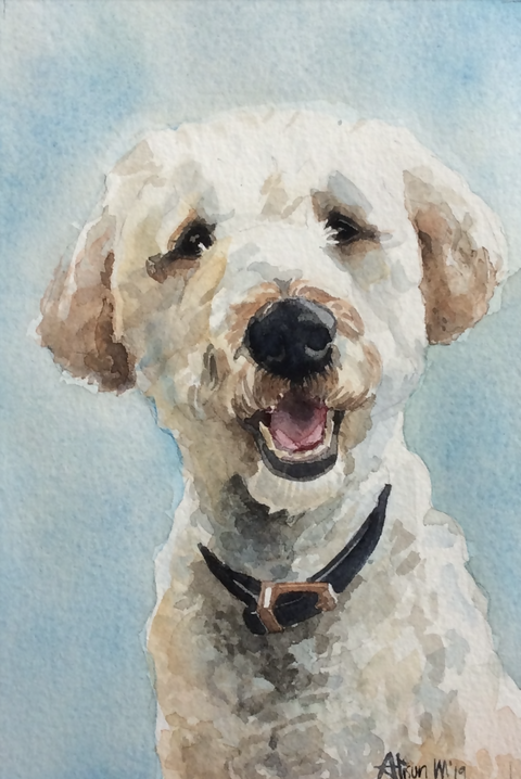 Hand-Painted Pet Portrait