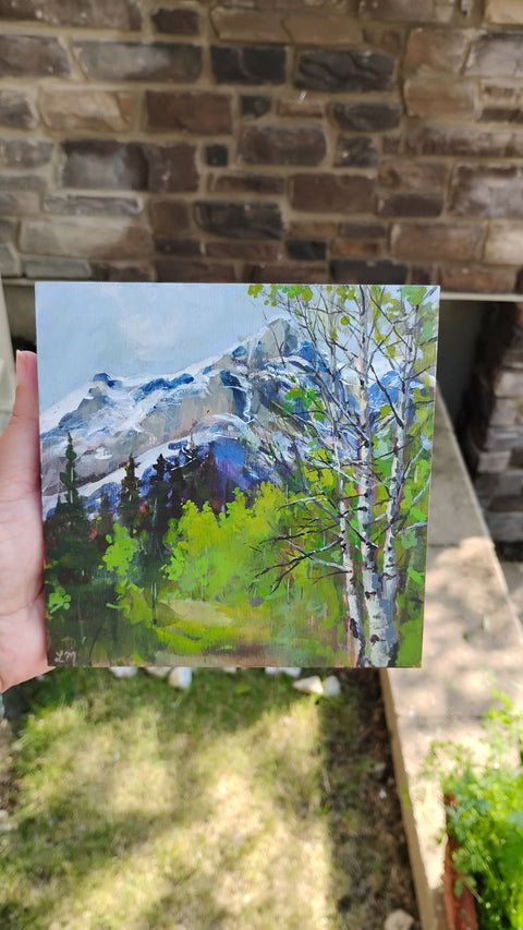 Banff Spring Afternoon