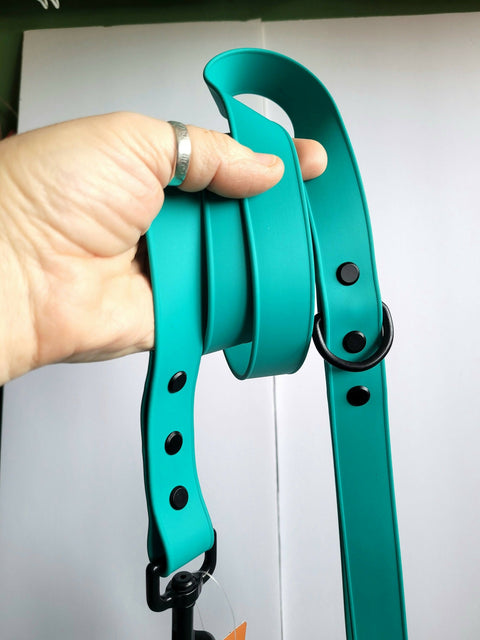 Standard BioThane dog leash