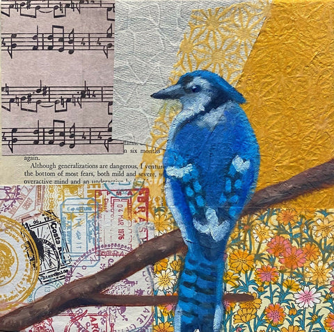 LancetteBurton-Blue Jay 2