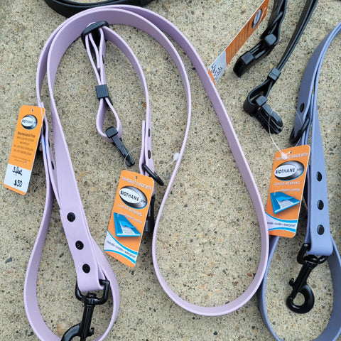 Standard BioThane dog leash