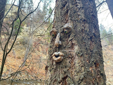 Forrest Stump new 2023 (3)