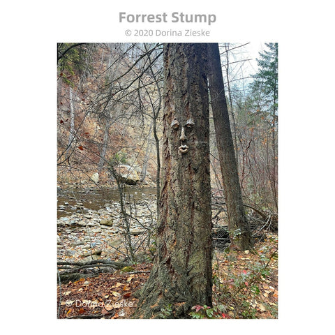 A whimsical style tree face, garden sculpture ornament attached to a tree. It gives the look like the tree has a face. It has bark like color and slightly textured. It is 12.5 x 9.5 inches installed on a tree. It has glass eyes inserted.