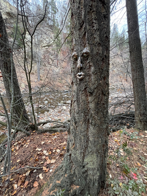 A whimsical style tree face, garden sculpture ornament attached to a tree. It gives the look like the tree has a face. It has bark like color and slightly textured. It is 12.5 x 9.5 inches installed on a tree. It has glass eyes inserted.