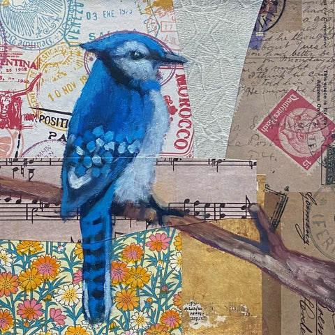 LancetteBurton-Blue Jay 3