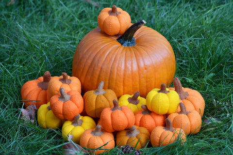 Wool Felt Pumpkin - Handmade for imaginative play or home decor