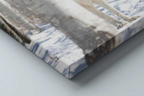 Wolf in the Trees | Wolf Canvas Print | Wildlife Wall Art | 36"x24"