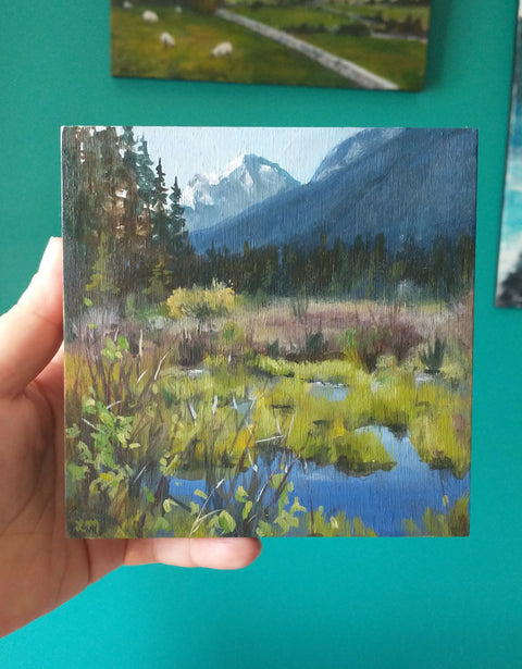 Vermilon Lakes Springtime