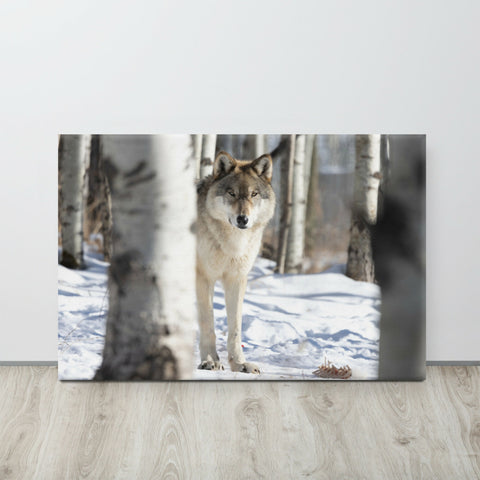 Wolf in the Trees | Wolf Canvas Print | Wildlife Wall Art | 36"x24"