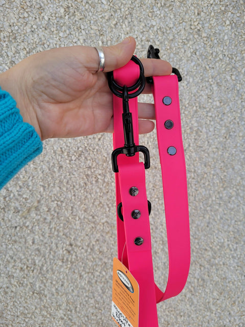 Hands-free dog leash