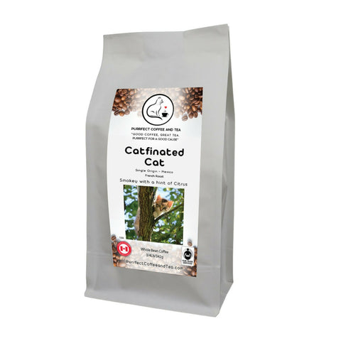 Cafinated Cat Image