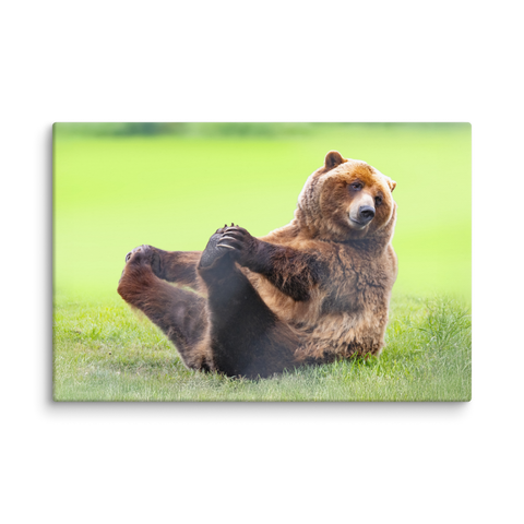 Funny Grizzly Bear | Playful Canvas Wall Art | Wildlife Décor | 36"x24"