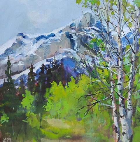 Banff Spring Afternoon