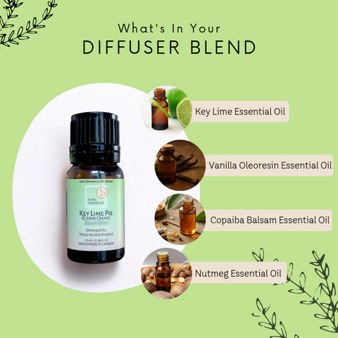 Key Lime Pie (Citrus Cream) Essential Oil Blend