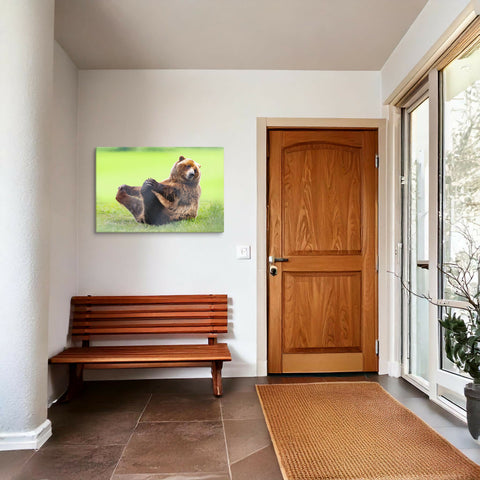 Funny Grizzly Bear | Playful Canvas Wall Art | Wildlife Décor | 36"x24"