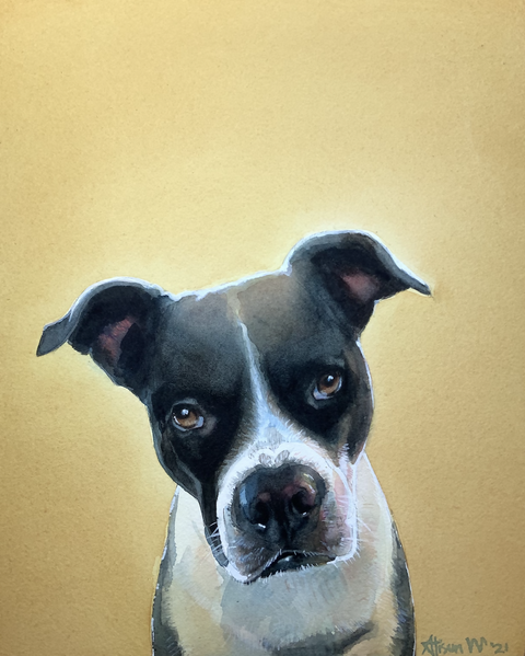 Hand-Painted Pet Portrait