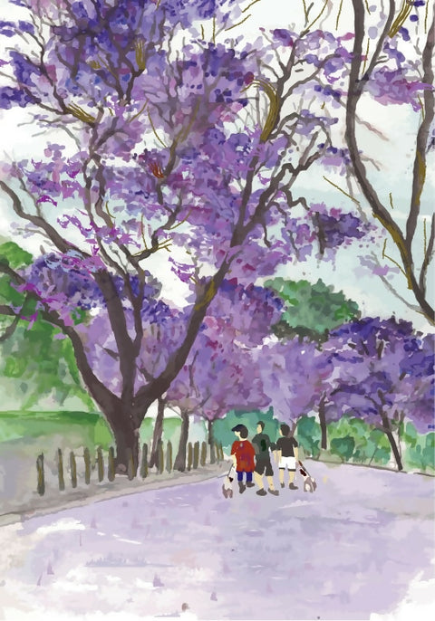Jacaranda Magic on Streets of Sydney | Spring in Australia