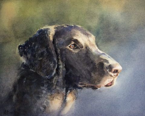 Hand-Painted Pet Portrait