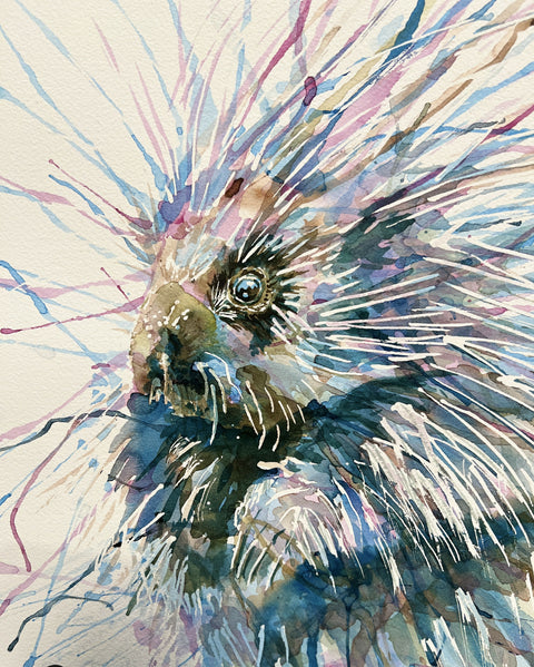 Porcupine - acrylic ink on watercolour paper