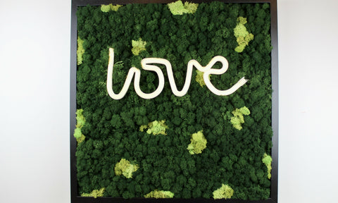 Love is all You Need