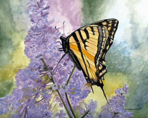 Georgette Swenson Butterfly 8x10 gouache on paper