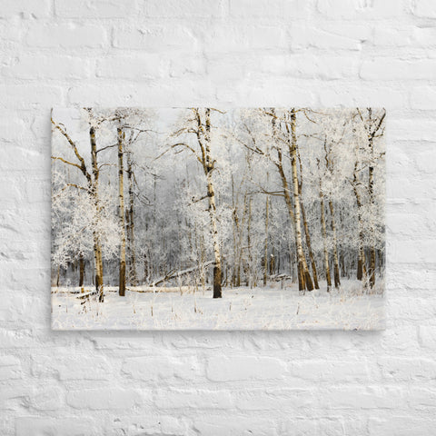 Winter Birch Trees | Frosty Landscape Canvas Print | Wall Art | 36"x24"