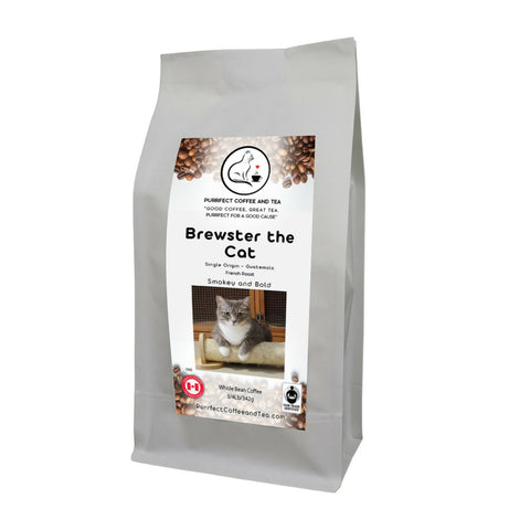 Brewster the Cat Image