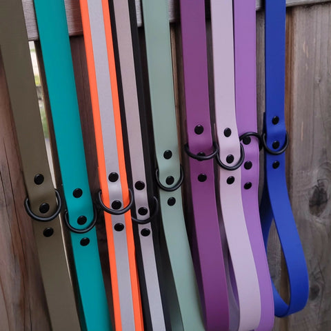 Standard BioThane dog leash