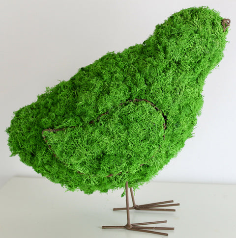 Lucky Bird