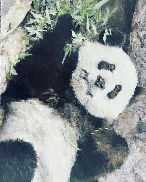 Calgary Zoo