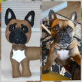 Photo-Inspired Personalized Felt Doll (Dog Or Cat)