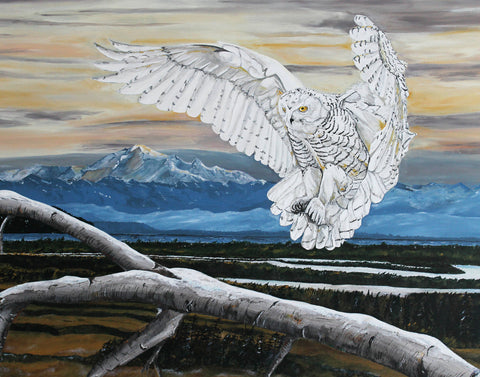 Snowy Owl Original Painting