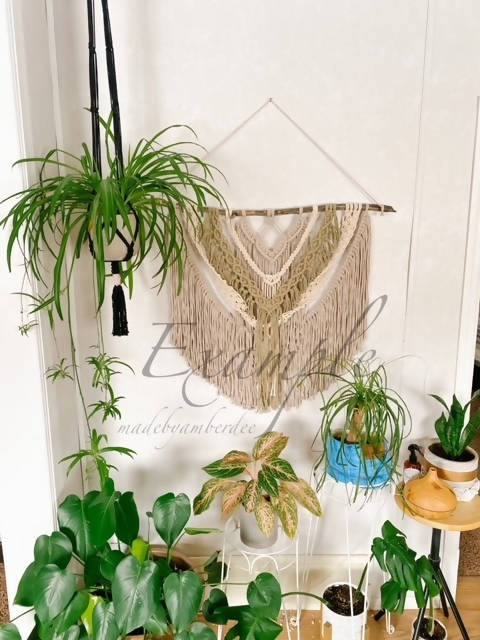 Macrame Hangings
